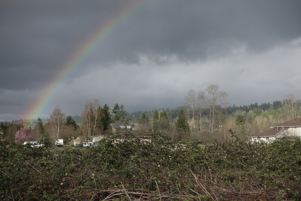 sammamishRiverTrailRainbow_DSC02242_600x400.jpg