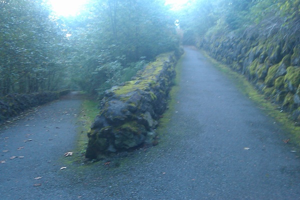 switchback_IMAG0283_600x400.jpg